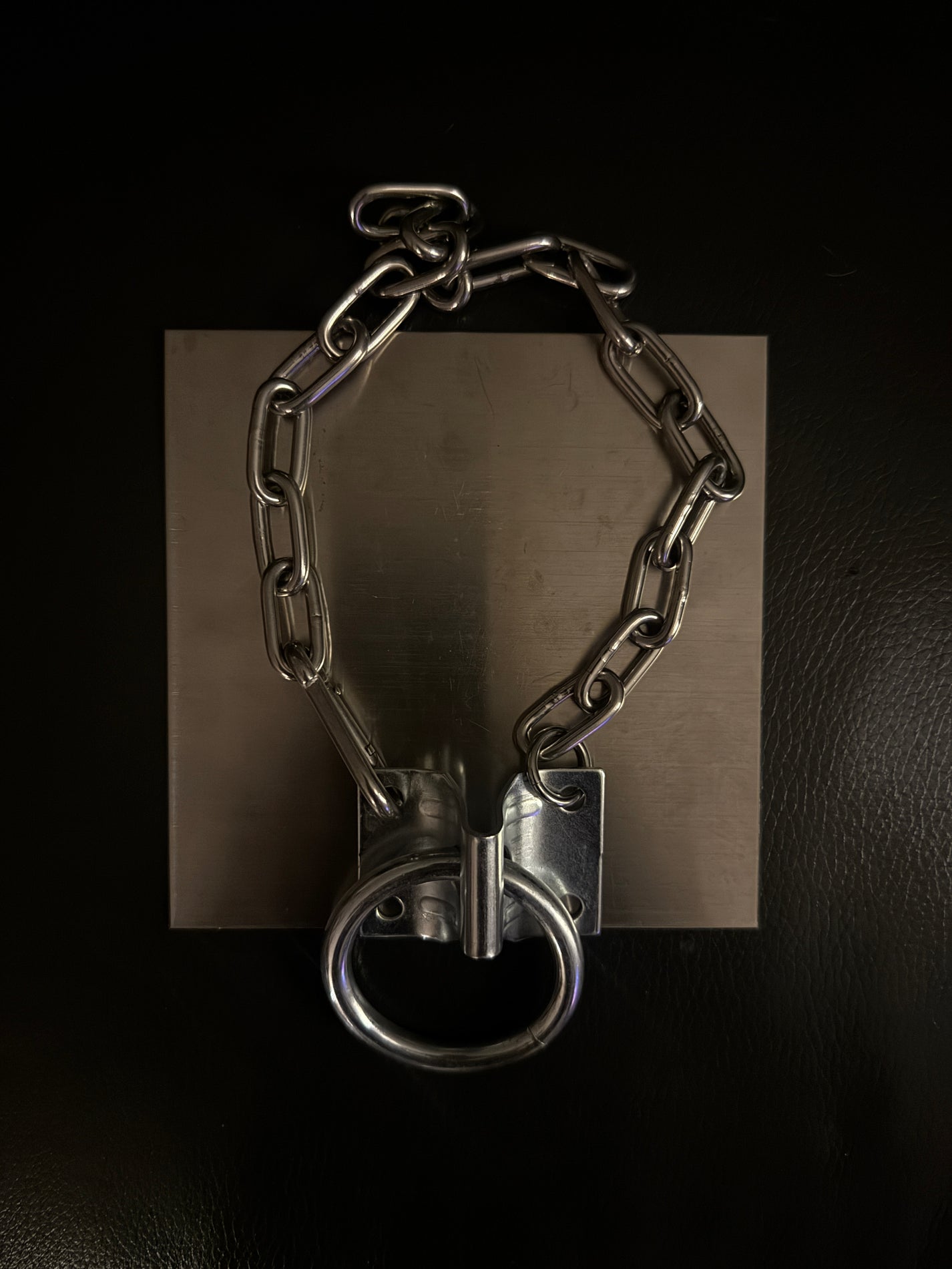 hinge necklace