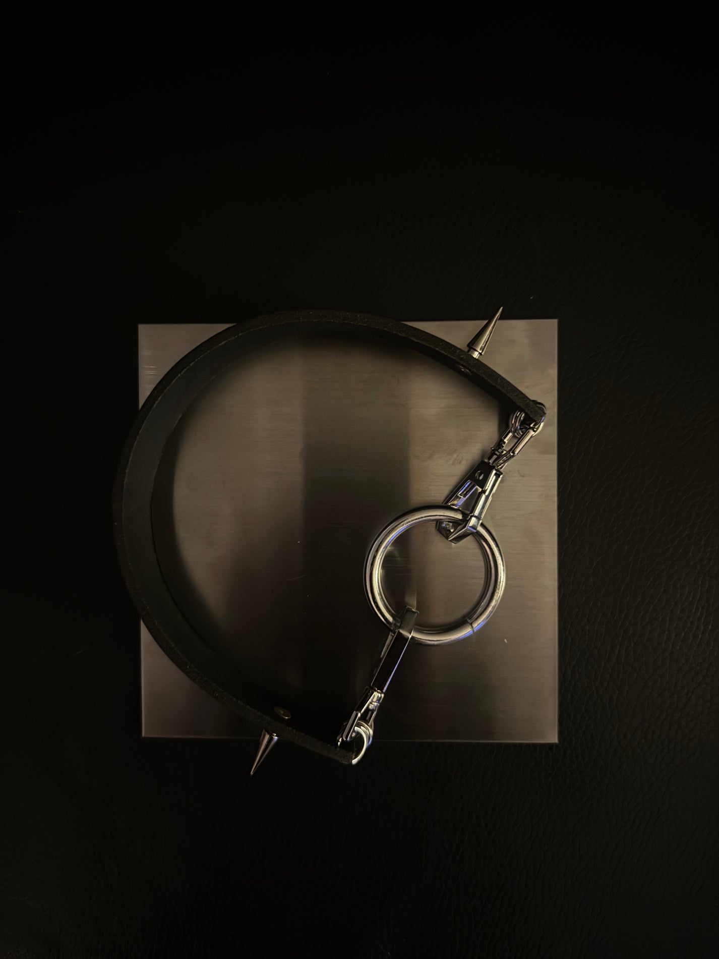 spikes leather collar